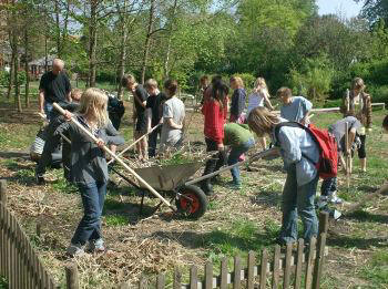 Pupils clearing the ground