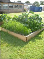 allotment in September