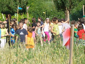 Italian allotment in June