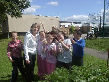 Welsh vegetables in July