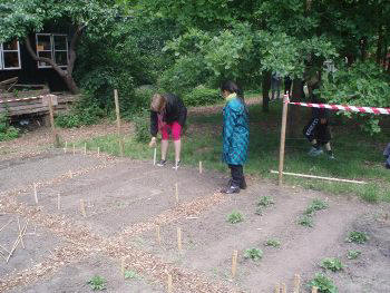 Danish allotment in June