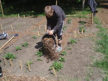 Danish allotment in June