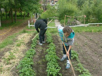 Danish allotment in June