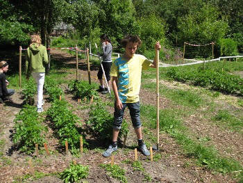 Danish allotment in June