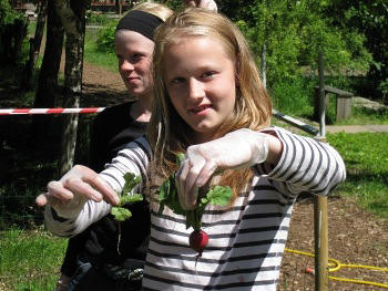 Danish allotment in June