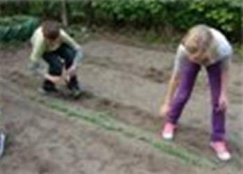 growing vegetables in june