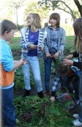 harvesting vegetables in September