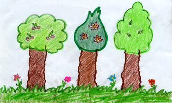 disegno alberi