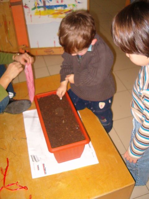 foto della semina dei fagioli