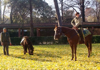 foto: il cavallo e il pony che abbiamo cavalcato