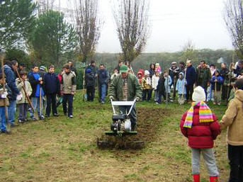 la preparazione del terreno