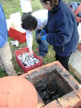 la cottura in forno: una nuova infornata