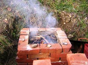 la cottura in forno: i rametti bruciano