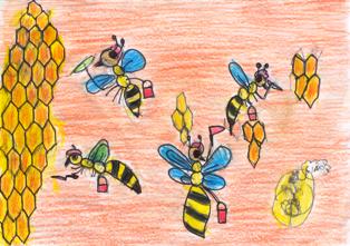 Disegno api che costruiscono le celle