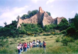 gruppo bambini sotto le balze