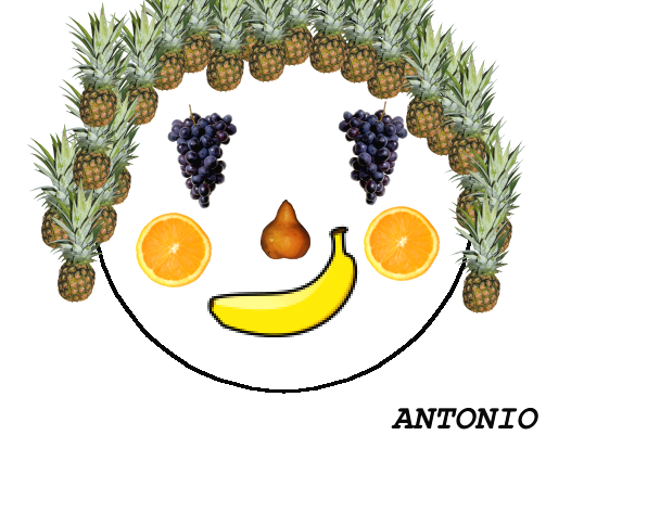 produzioni al pc di un volto stile Arcimboldo