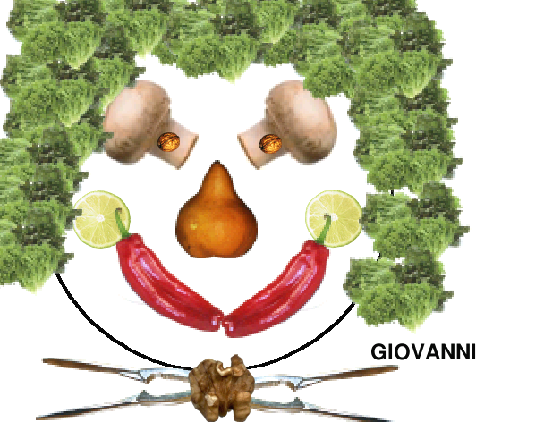 produzioni al pc di un volto stile Arcimboldo