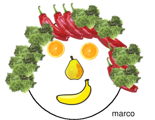 produzioni al pc di un volto stile Arcimboldo