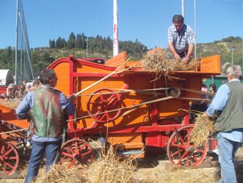 l'imboccatore introduce il grano