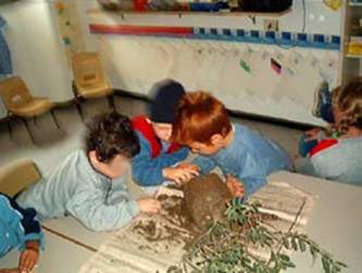 foto di bambini che osservano delle radici