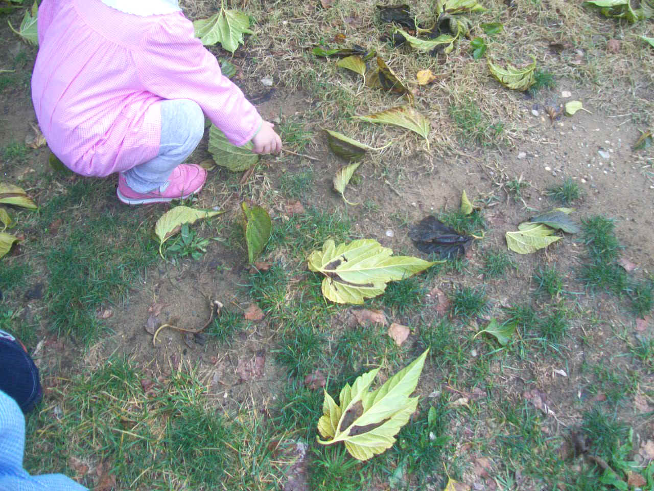 bambini che raccolgono le foglie dal giardino