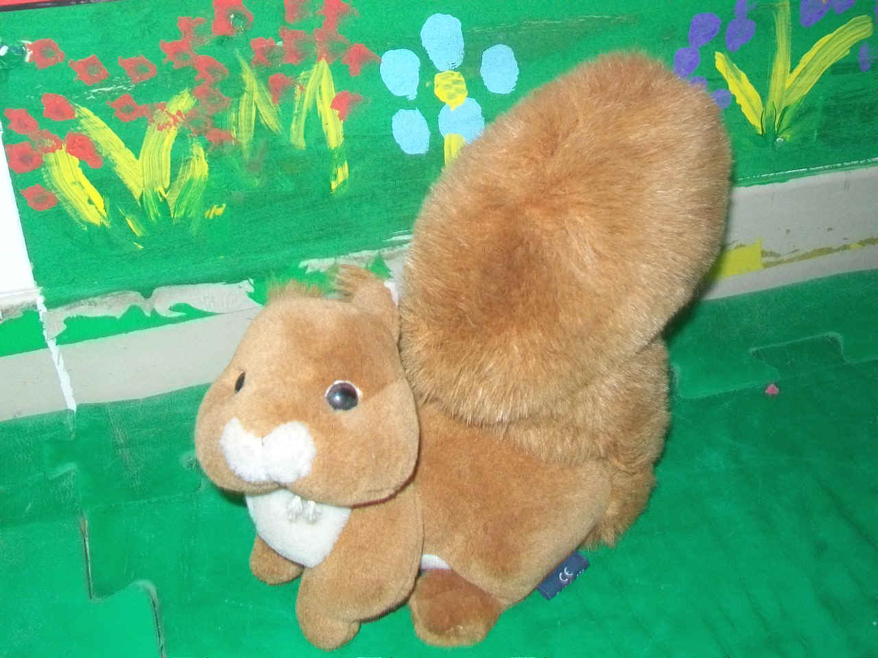 foto dello scoiattolo curiosino