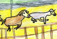 disegno: le pecore