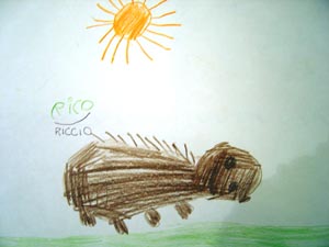 disegno dei bambini di un riccio