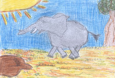 disegno elefante
