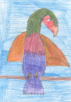 disegno pappagallo