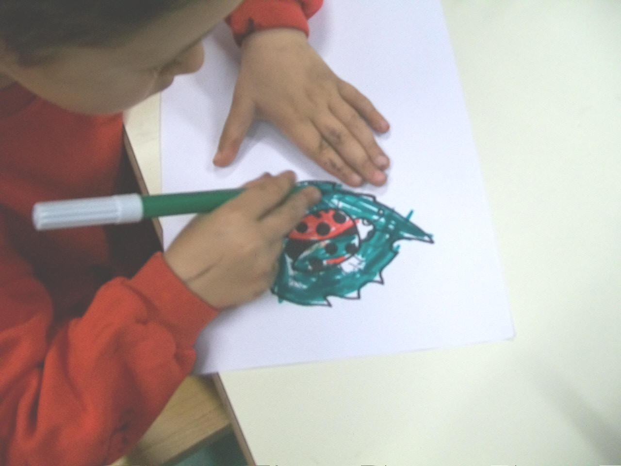 foto di bambini che colorano una coccinella
