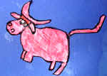 toro rosa