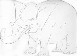 elefante disegnato da Daniele Nannini
