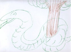 serpente disegnato da Daniele Nannini