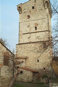 foto della Torre