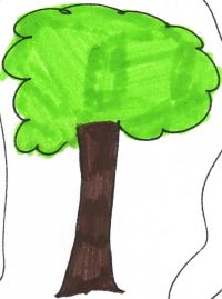 albero, disegno