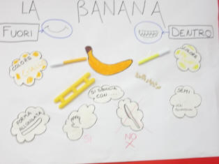 cartellone riassuntivo della banana