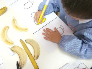 foto dei bambini che disegnano il fuori e il dentro della banana
