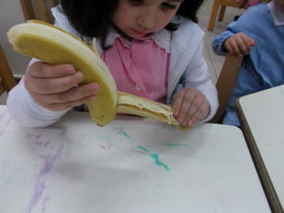 foto di bambini che manipolano e osservano la banana