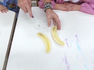 foto di bambini che manipolano e osservano la banana