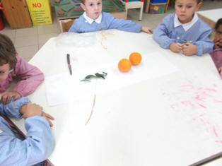 foto di bambini che smontano e osservano l'arancia