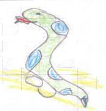 serpente, disegno